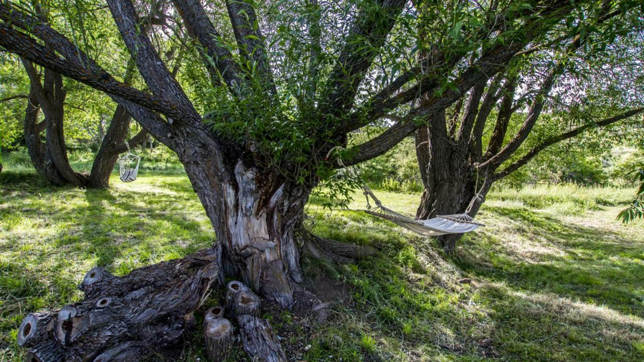Masia El Cabrero Villarroya de los Pinares Ngoại thất bức ảnh